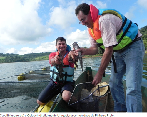 pesca em concordia