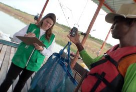 4 dicas para ter sucesso na biometria e na classificação dos peixes