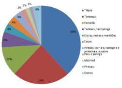 Aquicultura cresce 123% em dez anos