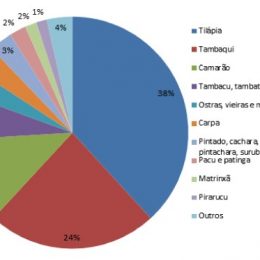 Aquicultura cresce 123% em dez anos