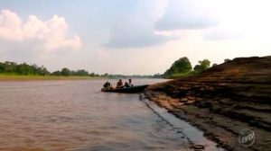 Expedição em busca dos peixes de couro explora rios amazônicos