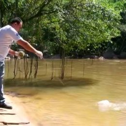 Após despoluição, Rio Jundiaí volta a ter peixes e abastece moradores