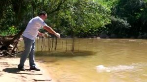 Após despoluição, Rio Jundiaí volta a ter peixes e abastece moradores