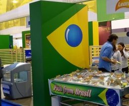 De Pero Vaz de Caminha à nova Seap, como o Brasil tratou a competitividade do pescado lá fora