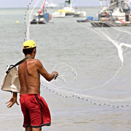 Espécies de pescados estão em falta no litoral da Capital