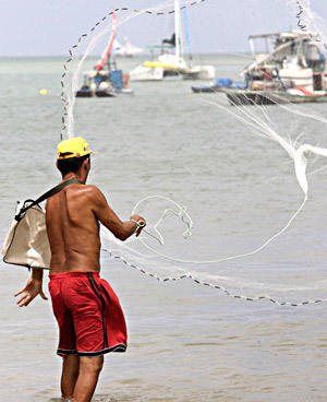 Espécies de pescados estão em falta no litoral da Capital