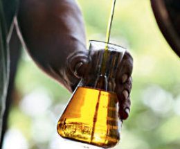 Petrobras vai usar resíduos da pesca na produção de biodiesel