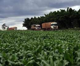 CNA recebe chineses de olho em investimento de US$ 30 bilhões