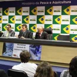 Novo ordenamento pesqueiro protege camarões de três espécies e beneficia famílias de pescadores