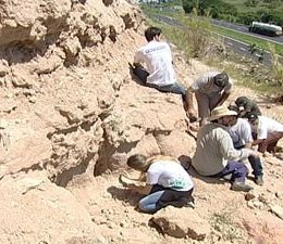 Fósseis de peixes são encontrados em sítio arqueológico em MG
