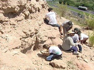 Fósseis de peixes são encontrados em sítio arqueológico em MG