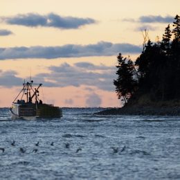 Contaminação por mercúrio dobra nos mares em cem anos, diz estudo