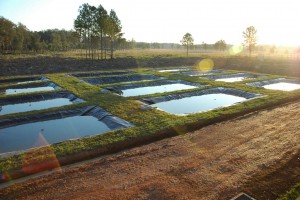 Produtores de peixes em Mato Grosso terão cursos de capacitação 