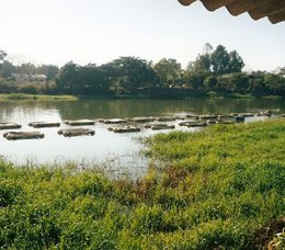 Epamig analisa cadeia produtiva da piscicultura e qualidade da água no Reservatório de Três Marias