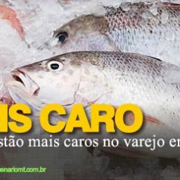Peixes estão mais caros no varejo em Mato Grosso