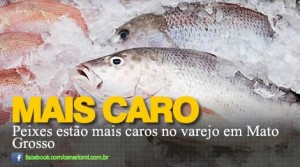 Peixes estão mais caros no varejo em Mato Grosso
