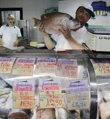 Preço do bacalhau e peixes sobe para a quaresma em BH