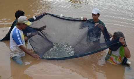 Linha de financiamento estrutura polo de piscicultura em Humaitá