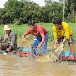 Prefeitos buscam apoio para investimento federal em piscicultura