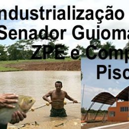 Complexo de Piscicultura consolida cadeia do peixe