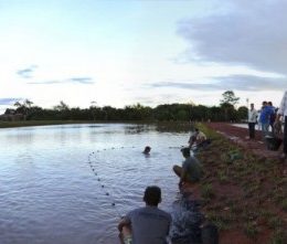 Tião Viana conhece primeira produção de alevinos do Complexo de Piscicultura do Acre