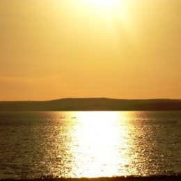 Preservação ambiental e a atividade pesqueira