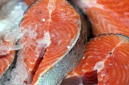 Pesquisa indica variação de até 185% no preço dos peixes em Florianópolis