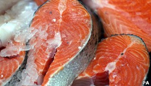 Pesquisa indica variação de até 185% no preço dos peixes em Florianópolis