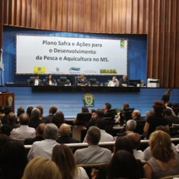 Ministro recebe Licença Ambiental do Parque Aquícola de Ilha Solteira, no Mato Grosso do Sul