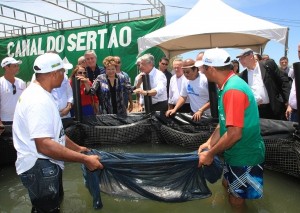 Presidente Dilma Roussef conhece ação de piscicultura em torno do Canal do Sertão
