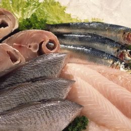 consumo peixes quaresma