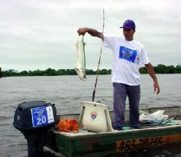 Aumenta cota para pesca e armazenagem de peixes em Mato Grosso