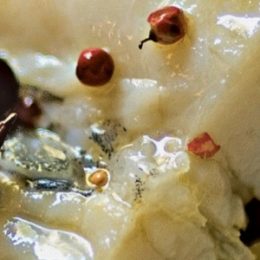 Especialistas ensinam como comprar e fazer o bacalhau em cinco lições 14