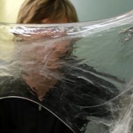 Substância viscosa de peixe pode compor 'roupa do futuro' Comente