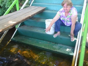 Aposentada alimenta peixes de estimação no Rio Guaporé, em RO