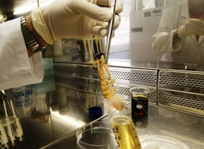 laboratorio