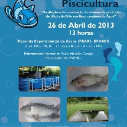 Encontro técnico apresenta sistema de produção de tilápia em fluxo contínuo