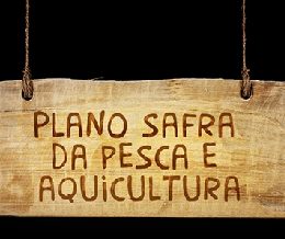 plano safra piscicultura