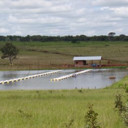 Prefeitura de Macapá lança edital de incentivo a Piscicultura
