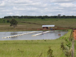 Prefeitura de Macapá lança edital de incentivo a Piscicultura