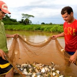 Acordo busca crescimento sustentável no mercado de peixes