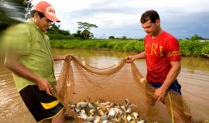 Acordo busca crescimento sustentável no mercado de peixes