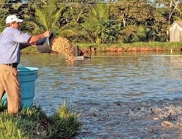 Guabi realiza palestra sobre nutrição de peixes