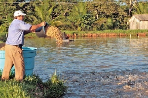 Guabi realiza palestra sobre nutrição de peixes