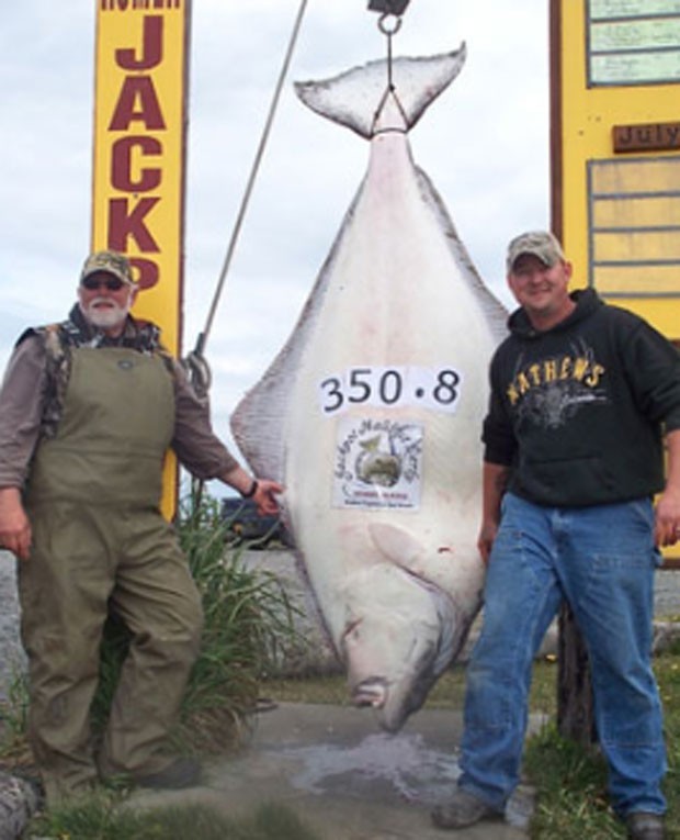 Em junho de 2011, o americano Chad Aldridge e seu pai, Ron, fisgaram um peixe de 159,12 quilos próximo à cidade de Homer, no Alasca. Eles levaram uma hora e 20 minutos para conseguir erguer ao barco o peixe enorme (Foto: Divulgação/ Homer Halibut Derby)