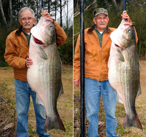 Em março deste ano, o americano James R. Bramlett, que mora em Dora, no estado do Alabama (EUA), quebrou o recorde estadual ao fisgar um peixe robalo-muge de 31,57 quilos no rio Black Warrior. Ele superou por 6,8 quilos o antigo recorde (Foto: Joe Songer/AP)