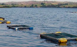 Senar promove curso de piscicultura em Augustinópolis