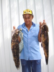 Pesca da traíra e do trairão