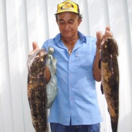 Pesca da traíra e do trairão