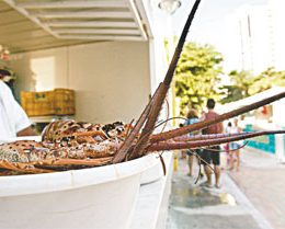 Mercado dos Peixes tem queda na movimentação